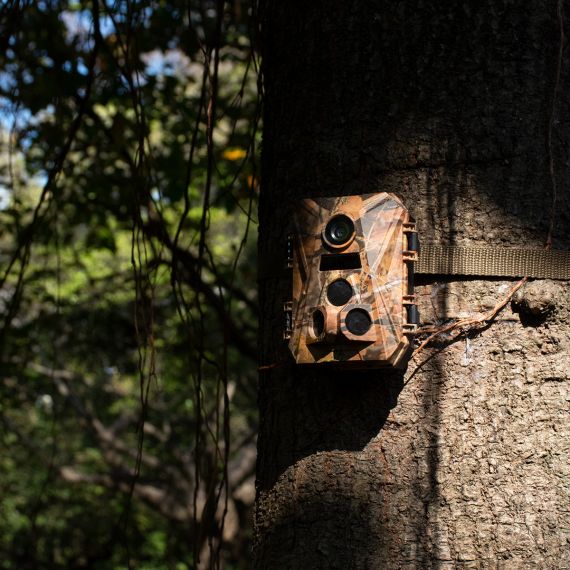 333体育-全网最有气氛的体育赛事直播平台